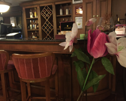 hotel-asteri-bansko-hoteli-odmor-smestaj-bansko-2